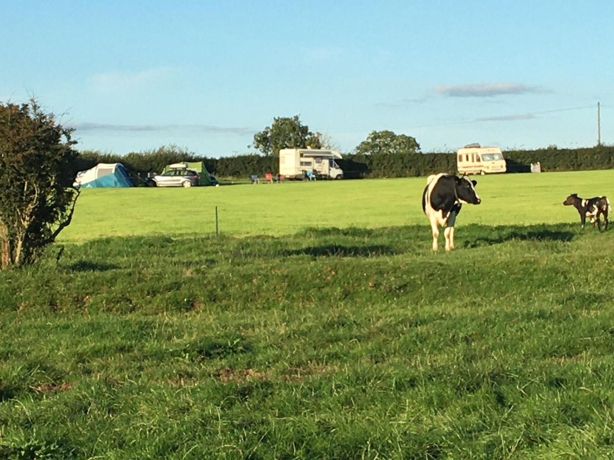 Llanarth  Carreg Y Gwynt Campsite - Touring And Tent Pitches酒店 外观 照片